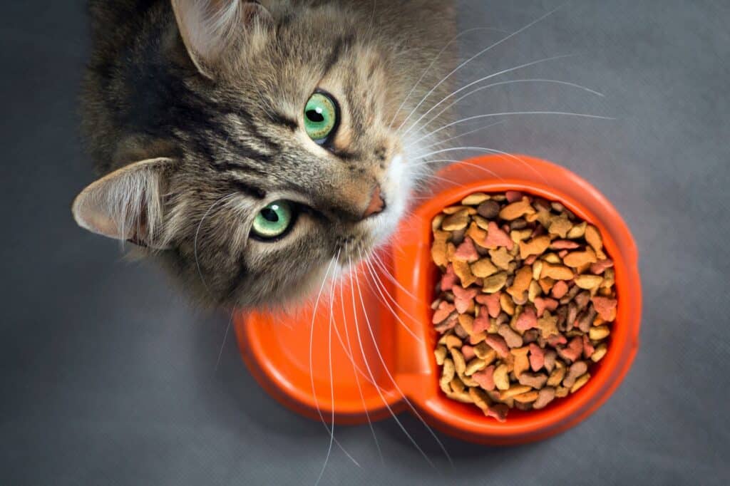 Contents of cat food products