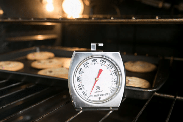 Best Thermometers: 