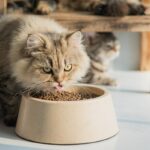 Contents of cat food products