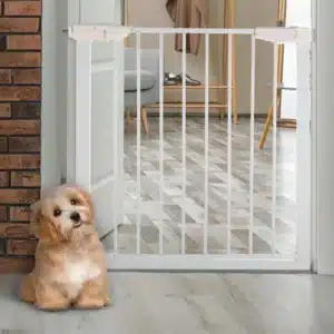 05 Best Pet Gates : Things you need to know