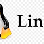 Disney Plus on Linux